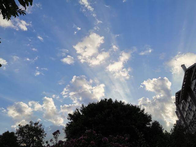 202012291632355392.jpg